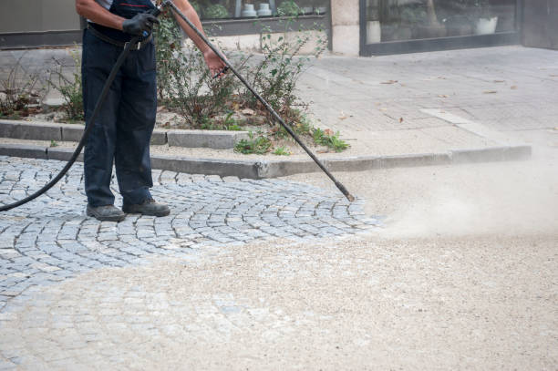 Best Gutter Cleaning  in Mcelhattan, PA